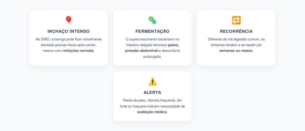 Inchaço por SIBO: Como Diferenciar da Má Digestão Comum