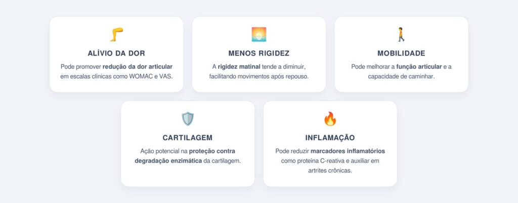Quais são os benefícios para as dores articulares?