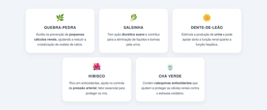 Quais são as 5 folhas mais indicadas para a saúde renal?