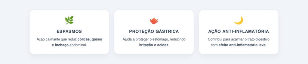Benefícios da camomila para a digestão e a proteção do estômago