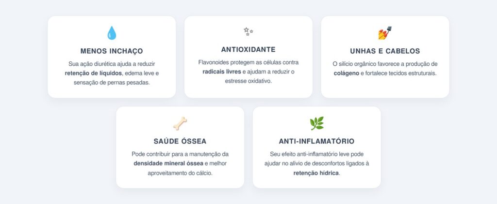 Quais são os principais benefícios da cavalinha?