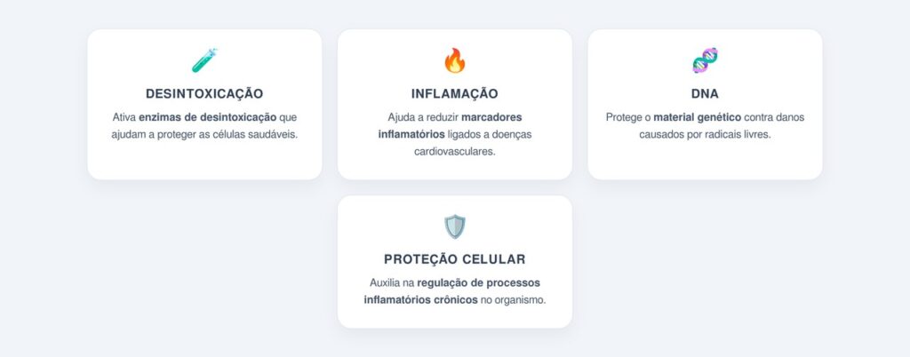 Como o brócolis atua na proteção das células?