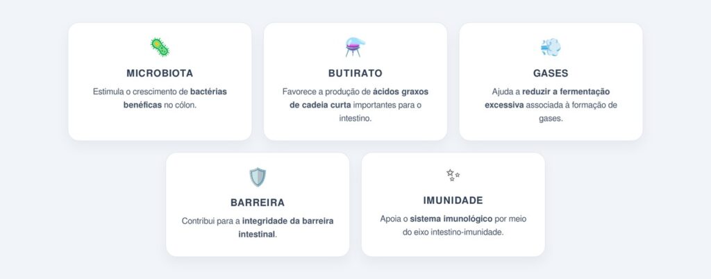 Como ele reduz os gases intestinais?
