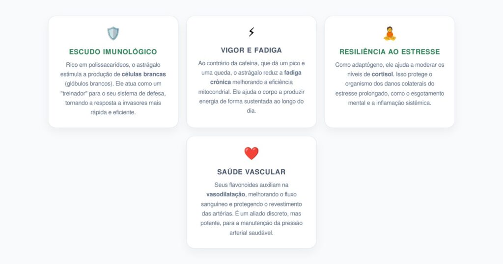 Astrágalo: O Adaptógeno da Longevidade e Imunidade