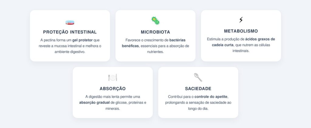 Como ela melhora a absorção de nutrientes?