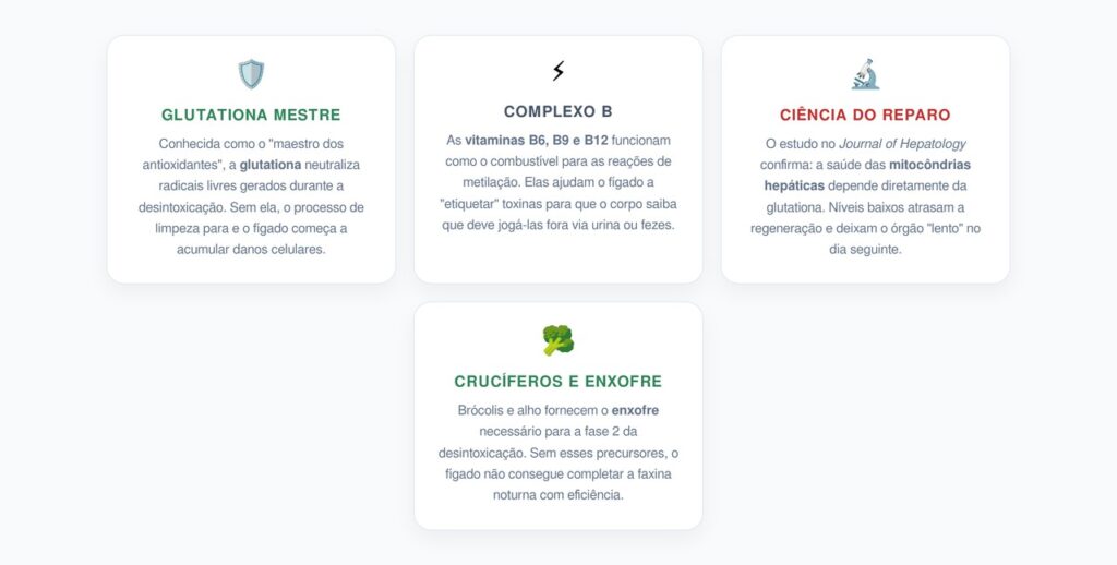 O Turno da Madrugada: Como o Fígado se Renova