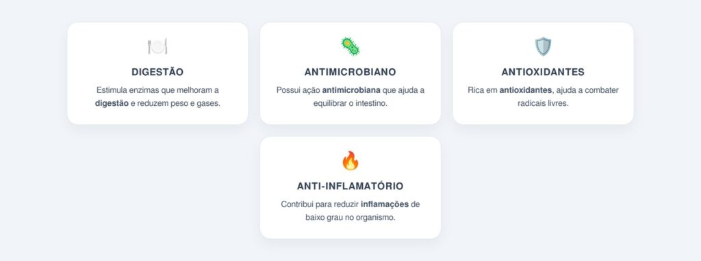 Benefícios adicionais da canela para a digestão e a saúde geral