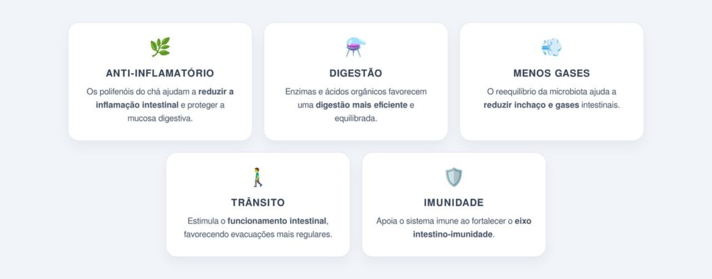 Quais os principais benefícios digestivos do kombucha?