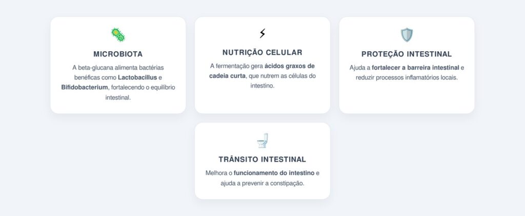 Por que a aveia faz bem para o intestino?