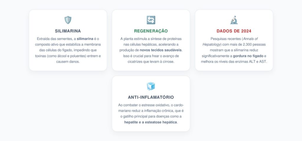 Cardo-Mariano: O Guarda-Costas do Fígado