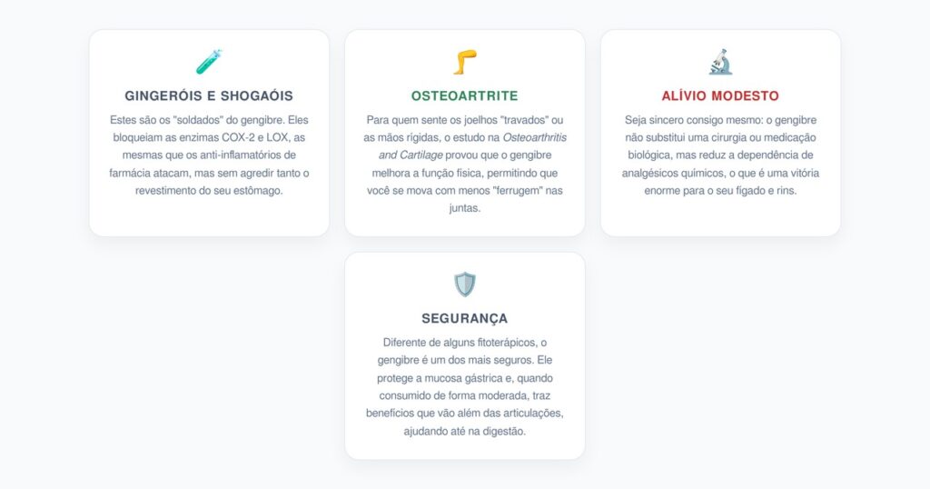 Gengibre: O Escudo Químico para Suas Juntas