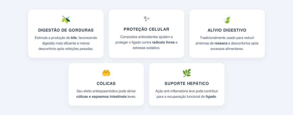Quais são os principais benefícios do boldo?