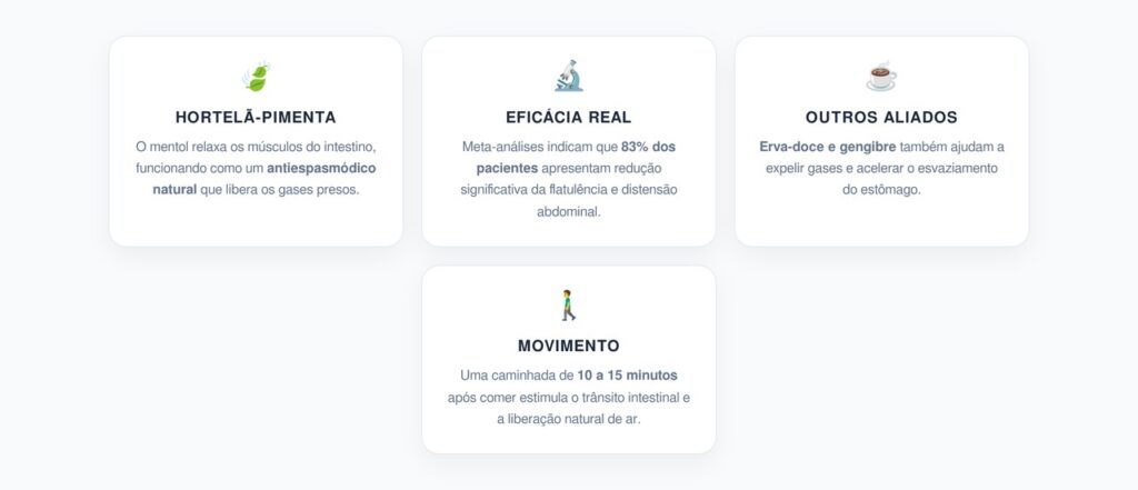 Guia Rápido para Desinchar a Barriga e Aliviar Gases