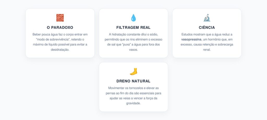 Guia de Circulação e Saúde Renal no Fim do Dia