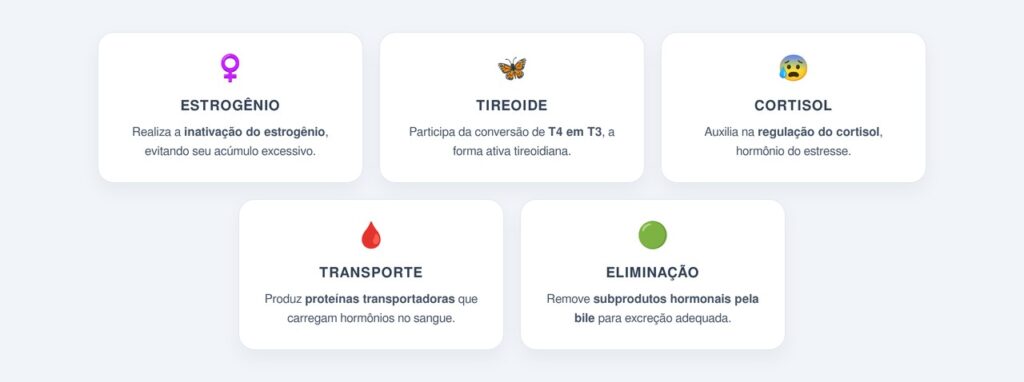 Qual é o papel do fígado no equilíbrio hormonal?