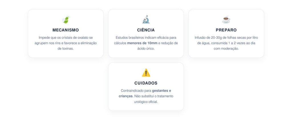 O chá natural que auxilia na limpeza dos rins e na prevenção de cálculos renais