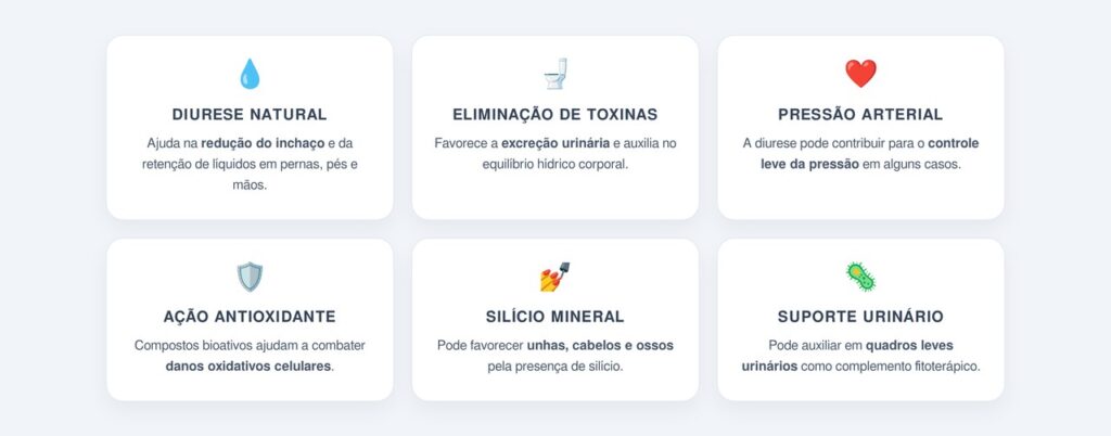 Quais são os principais benefícios do chá de cavalinha?