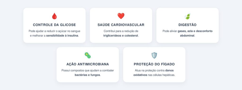 Principais benefícios atribuídos às folhas de figo