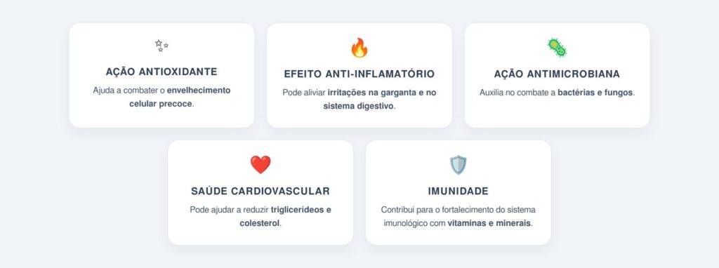 Principais benefícios associados ao chá de casca de romã