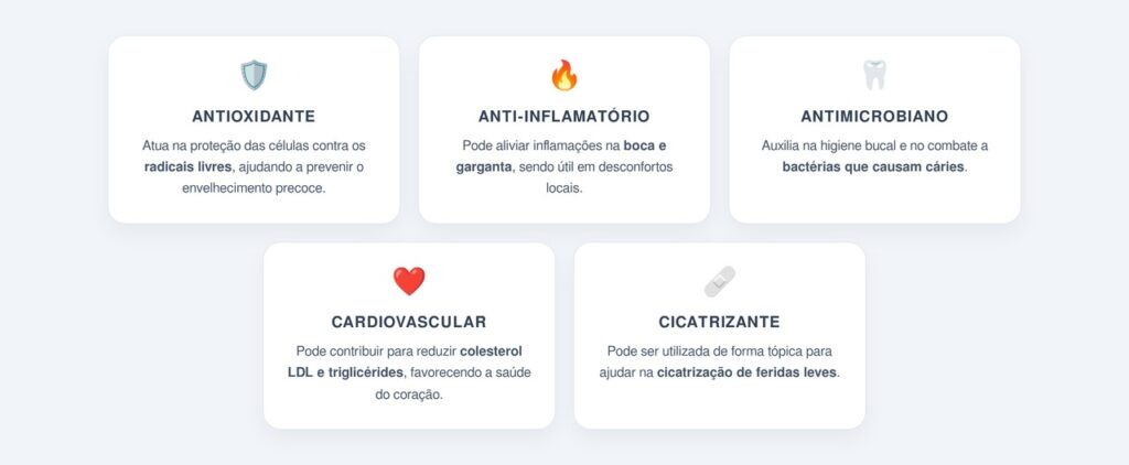 Quais outros benefícios as folhas de goiabeira oferecem