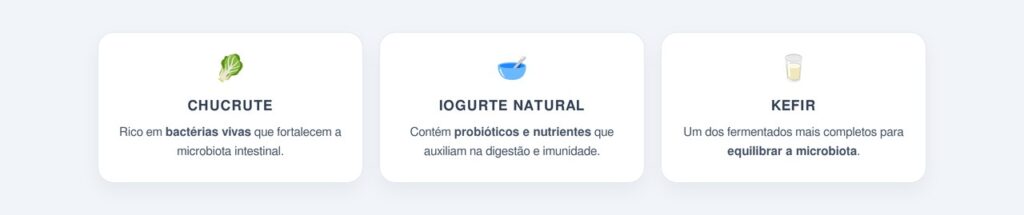 Quais são os 3 alimentos fermentados aliados da microbiota?