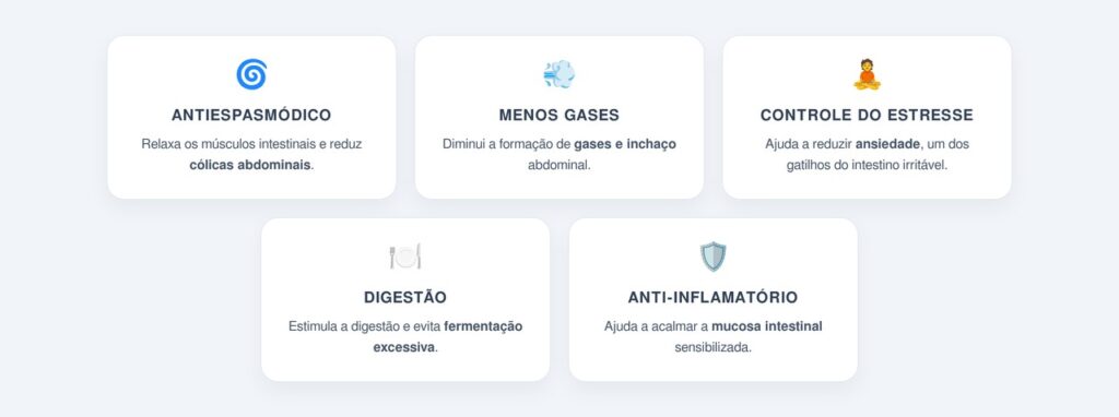 Quais são os principais benefícios da melissa para o intestino?