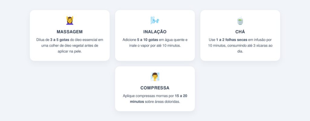 Formas práticas de usar o eucalipto no dia a dia