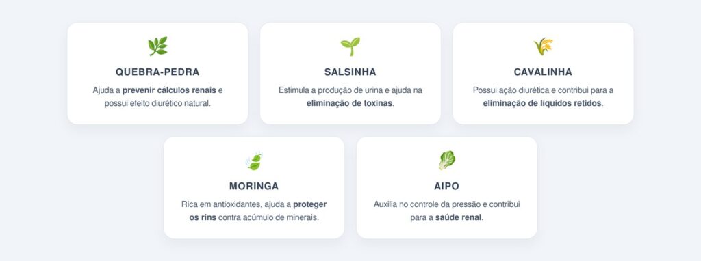 Quais folhas ajudam a proteger os rins?