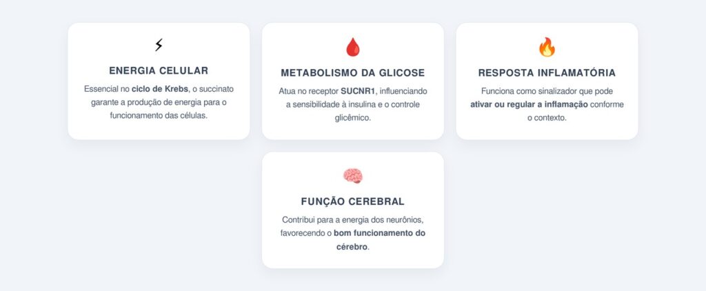 Quais são os principais benefícios do succinato para a saúde?
