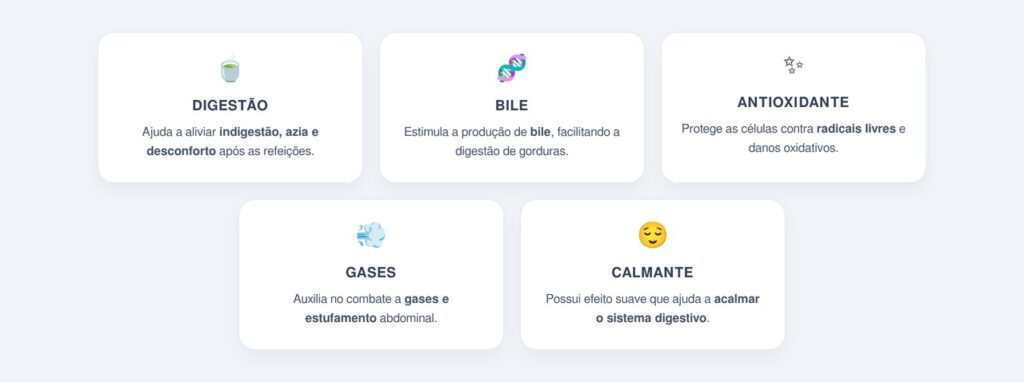 Quais são os principais benefícios do boldo-do-chile?