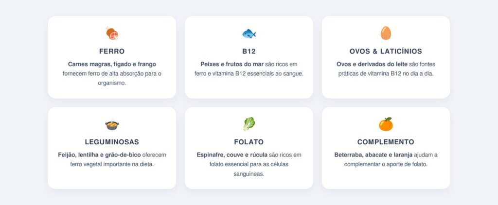 Alimentos ricos em ferro, B12 e folato para incluir na rotina