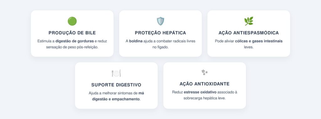 Quais são os principais benefícios do chá?