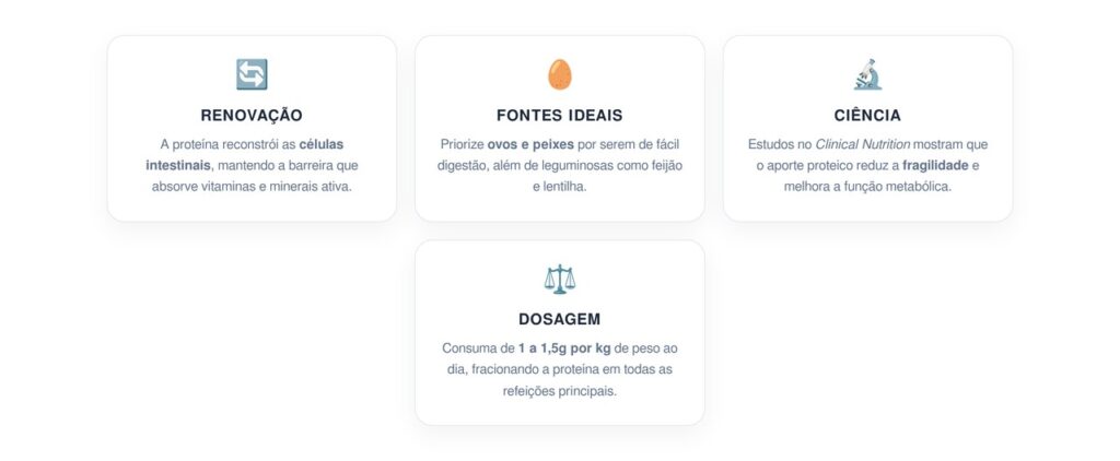 A forma correta de usar proteína para ajudar o intestino a reter nutrientes na terceira idade