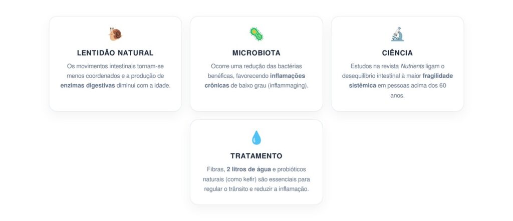 O que muda no intestino após os 60 anos e como tratar a inflamação de acordo com a ciência