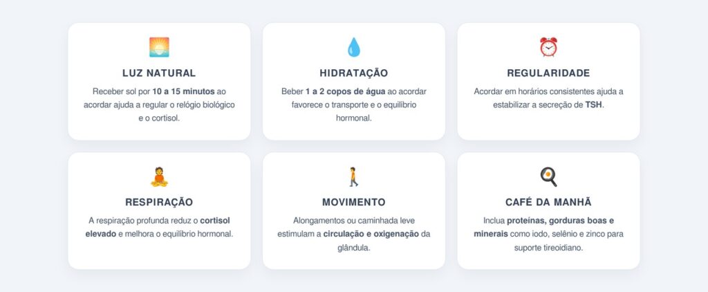 Quais hábitos matinais favorecem a função tireoidiana?