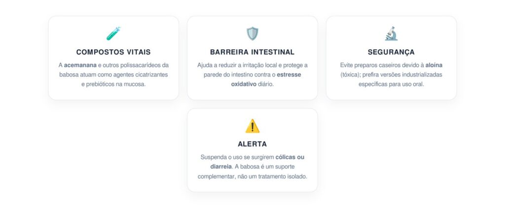 Como usar os nutrientes da babosa para tratar a parede do intestino e diminuir o risco de inflamação