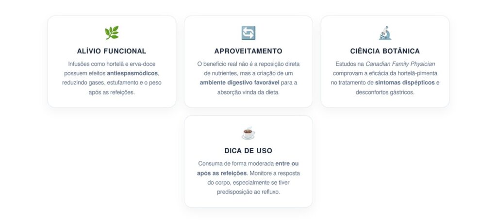 Como as infusões botânicas ajudam a tratar a digestão e repor nutrientes no longo prazo