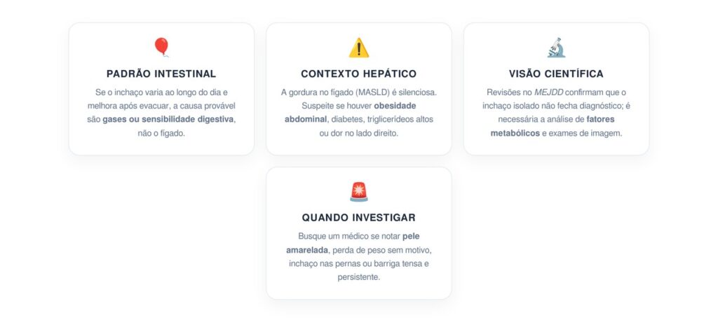 Como saber se a barriga inchada apresenta risco de gordura no fígado ou apenas inflamação