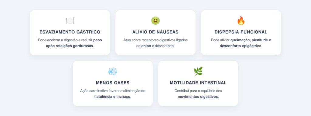 Quais são os benefícios para o intestino e a digestão?