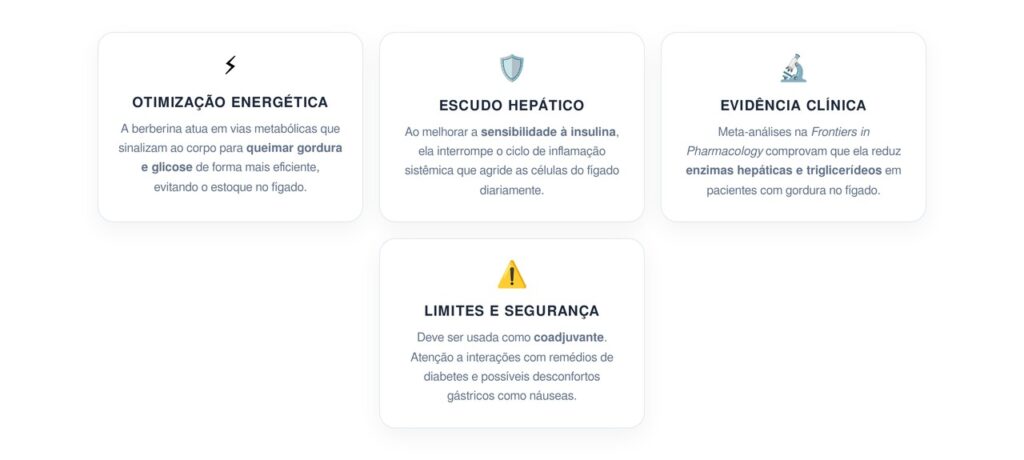 Como a berberina atua para tratar a inflamação e reduzir o risco de gordura no fígado no longo prazo?