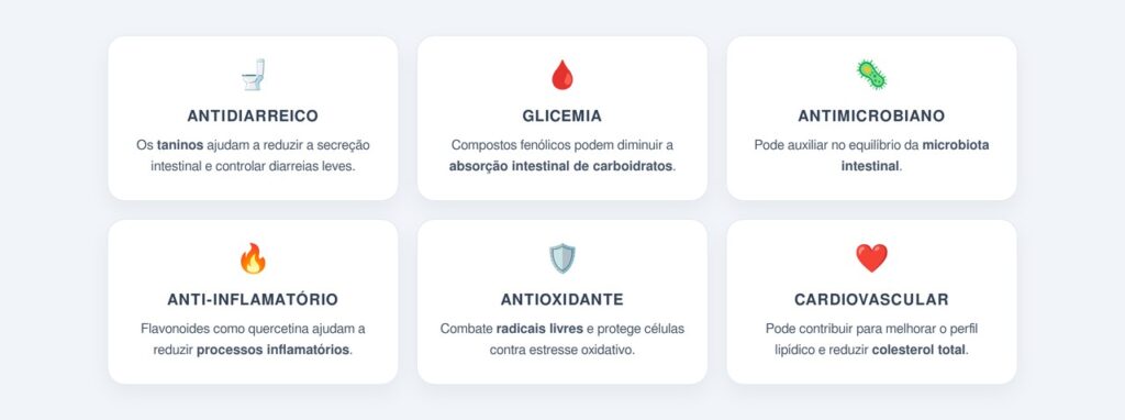 Quais são os benefícios do chá de folha de goiaba?