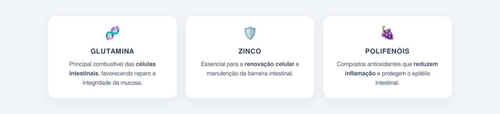 Quais substâncias naturais auxiliam na recuperação da mucosa?