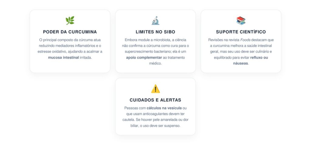 Como usar a cúrcuma pura para tratar o supercrescimento bacteriano e desinflamar o intestino?