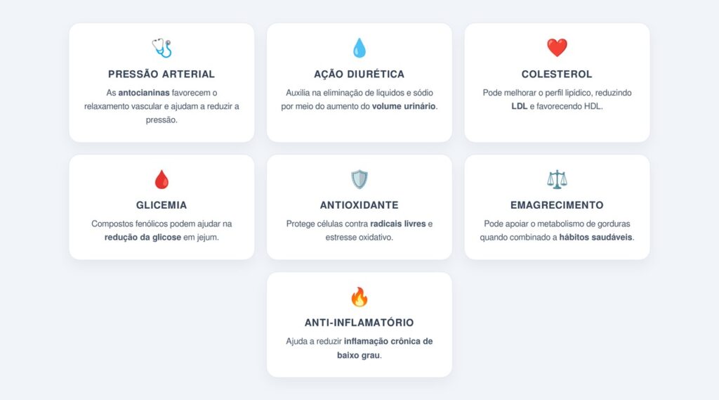 Quais são os benefícios do chá de hibisco?