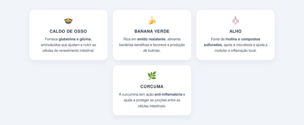Quais alimentos ajudam a reconstruir essa proteção?