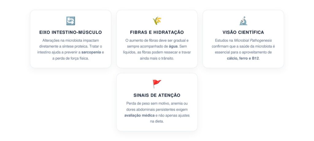 Estratégias Nutricionais e Funcionais para o Intestino na Melhor Idade