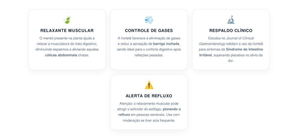 Ação da Hortelã no Conforto Intestinal