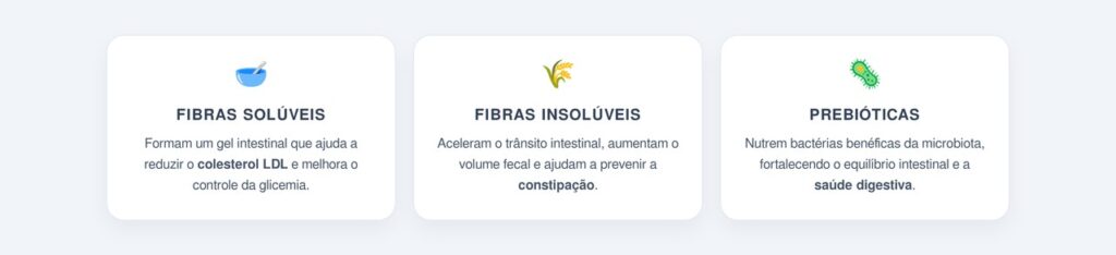 Quais são os tipos de fibras e suas funções?
