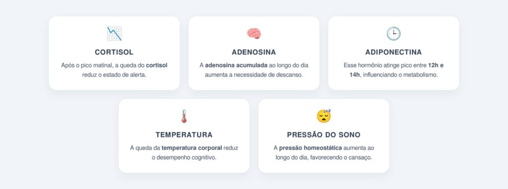 Quais hormônios e fatores influenciam essa queda?