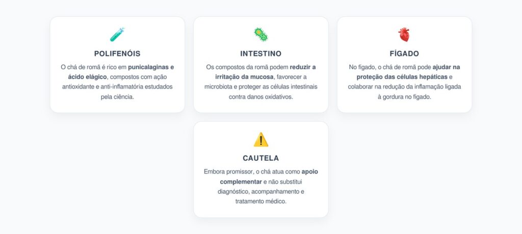 Inflamação no Fígado e Intestino: Como o Chá de Romã Pode Ajudar Segundo a Ciência